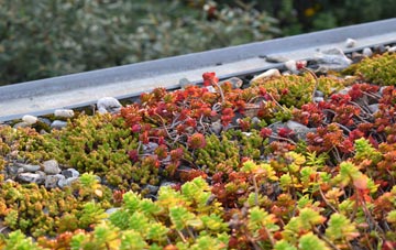 the cost of Salcombe Regis green roof installation