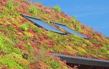 Salcombe Regis living roof systems
