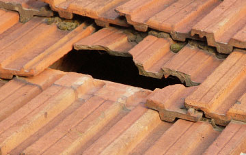 roof repair Salcombe Regis, Devon