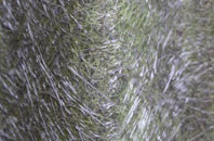 Salcombe Regis fibreglass roof work